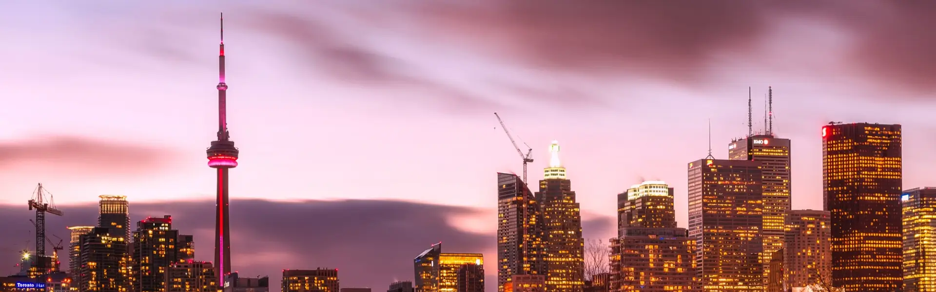 How Golden State International Consultancy Guides Your Academic Journey